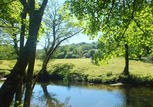 Photo Gallery Image - River Avon by Bickham Bridge