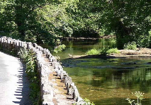 Photo Gallery Image - On the banks of the River Avon near Diptford village