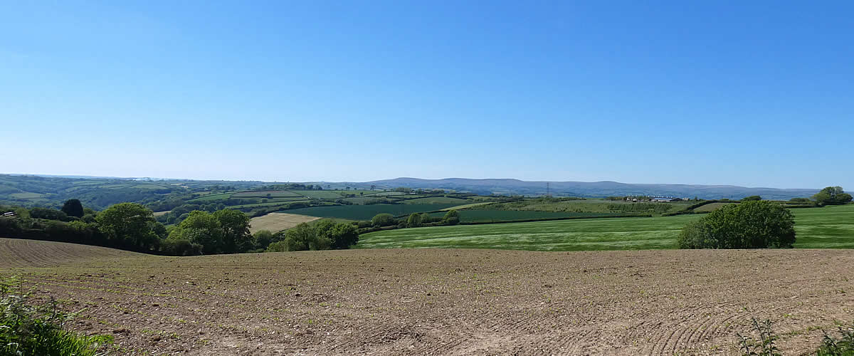 Farmland in the Parish of Diptford