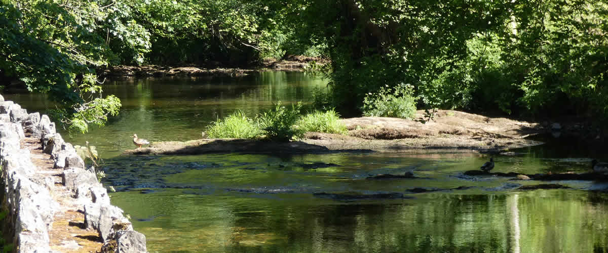 River Avon outside the village of Diptford