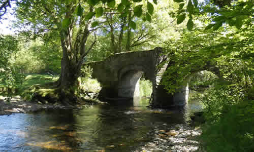 Bickham Bridge