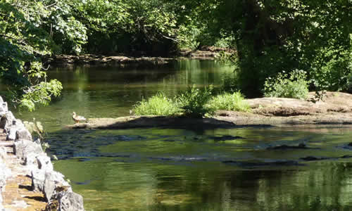 River Avon, Diptford